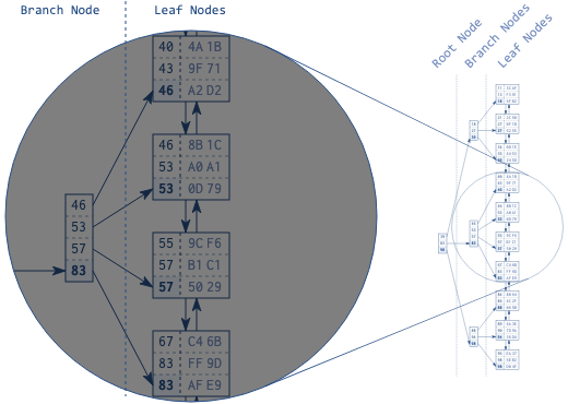 图 1.2 B+树的结构